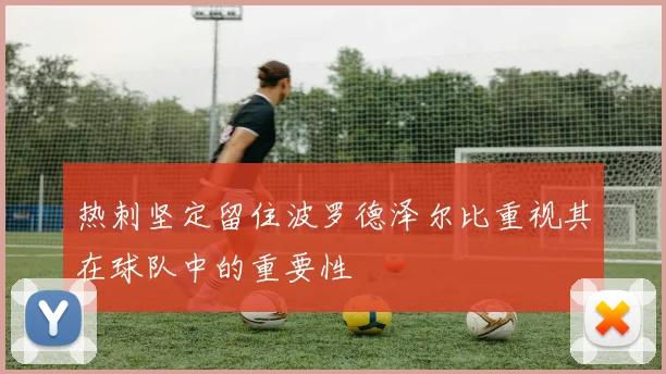 热刺坚定留住波罗德泽尔比重视其在球队中的重要性